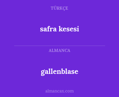 safra kesesi - gallenblase