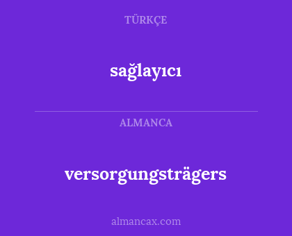 sağlayıcı - versorgungsträgers