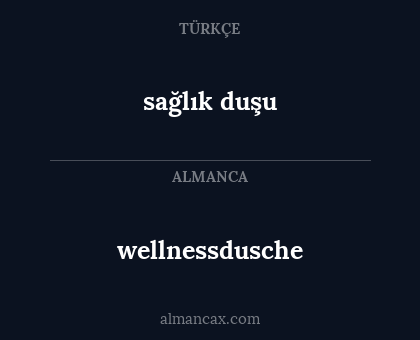 sağlık duşu - wellnessdusche