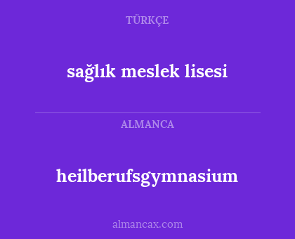 heilberufsgymnasium - sağlık meslek lisesi