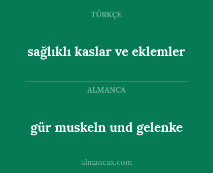 gür muskeln und gelenke - sağlıklı kaslar ve eklemler