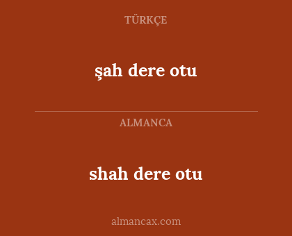 şah dere otu - shah dere otu