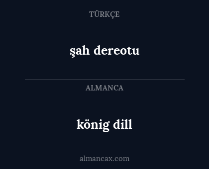 könig dill - şah dereotu