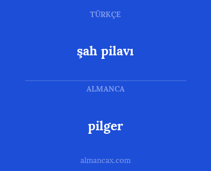 şah pilavı - pilger