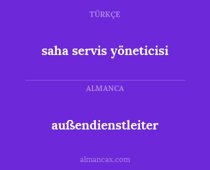 außendienstleiter - saha servis yöneticisi