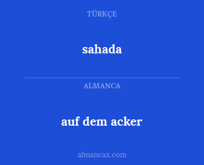 auf dem acker - sahada