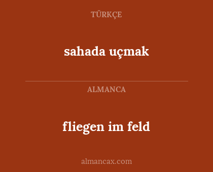 sahada uçmak - fliegen im feld