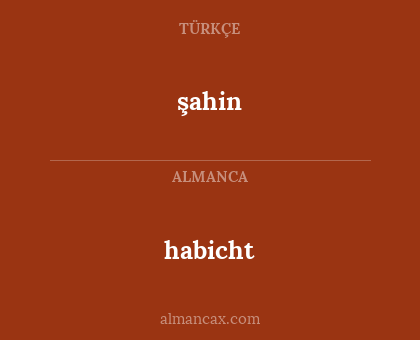 şahin - habicht