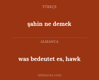şahin ne demek - was bedeutet es, hawk
