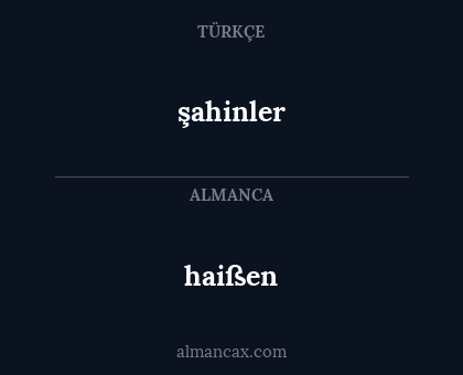haißen - şahinler