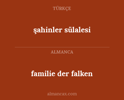 şahinler sülalesi - familie der falken
