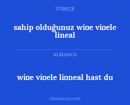 sahip olduğunuz wi̇e vi̇ele lineal - wi̇e vi̇ele li̇neal hast du