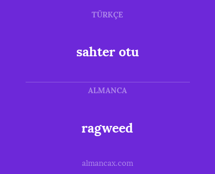 ragweed - sahter
otu