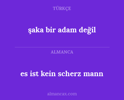 es ist kein scherz mann - şaka bir adam değil