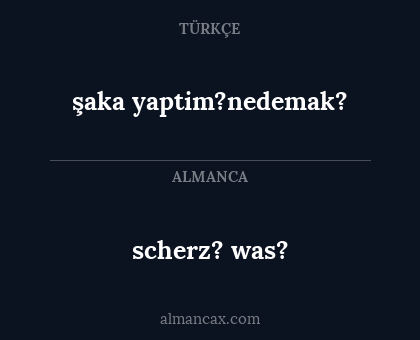 scherz? was? - şaka yaptim?nedemak?