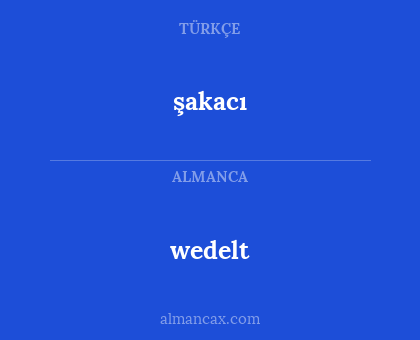 şakacı - wedelt
