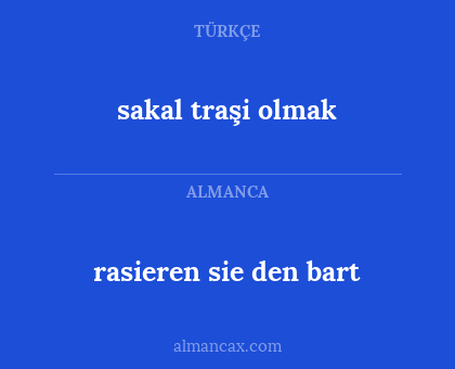 rasieren sie den bart - sakal traşi olmak