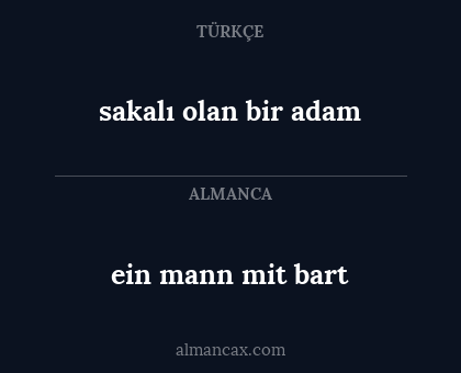 sakalı olan bir adam - ein mann mit bart
