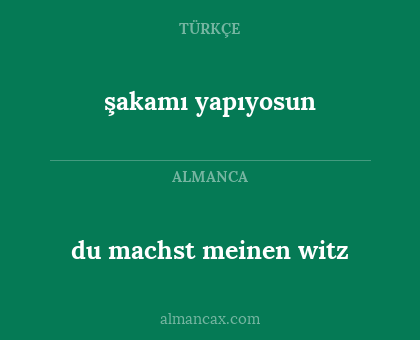 du machst meinen witz - şakamı yapıyosun
