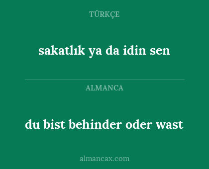 du bist behinder oder wast - sakatlık ya da idin sen