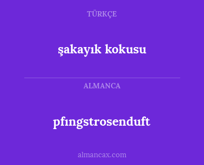 pfıngstrosenduft - şakayık kokusu