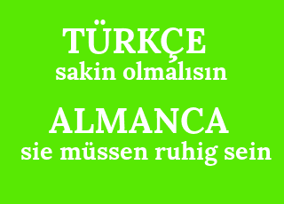 sakin+olmal%C4%B1s%C4%B1n-sie+m%C3%BCssen+ruhig+sein.png