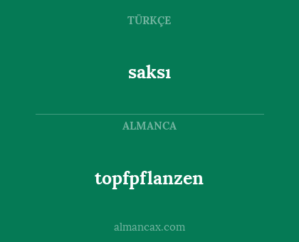 topfpflanzen - saksı