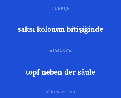 topf neben der säule - saksı kolonun bitişiğinde