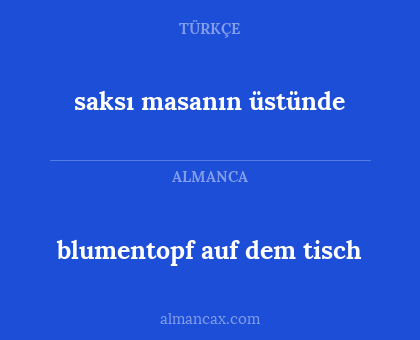 blumentopf auf dem tisch - saksı masanın üstünde