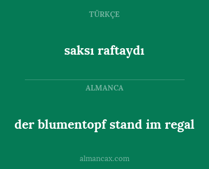 saksı raftaydı - der blumentopf stand im regal