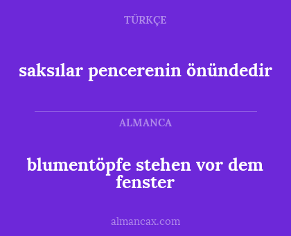 saksılar pencerenin önündedir - blumentöpfe stehen vor dem fenster