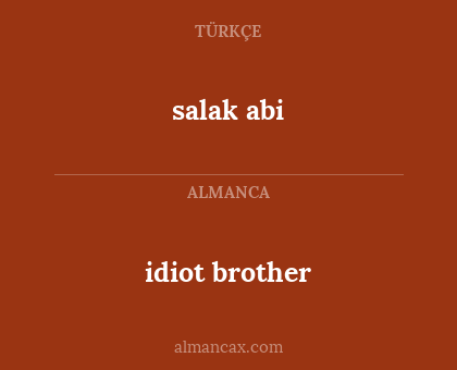 idiot brother - salak abi