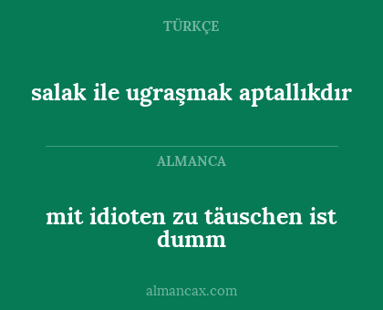 mit idioten zu täuschen ist dumm - salak ile ugraşmak aptallıkdır