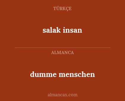 dumme menschen - salak insan