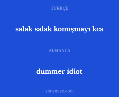 salak salak konuşmayı kes - dummer idiot