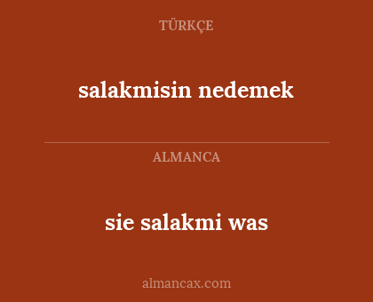 sie salakmi 
was - salakmisin
nedemek