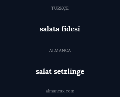 salat setzlinge - salata fidesi