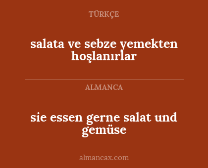 salata ve sebze yemekten hoşlanırlar - sie essen gerne salat und gemüse
