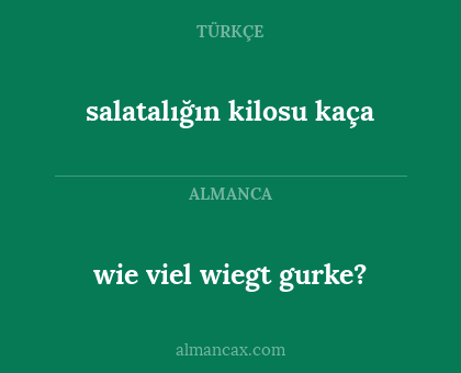 salatalığın kilosu kaça - wie viel wiegt gurke?