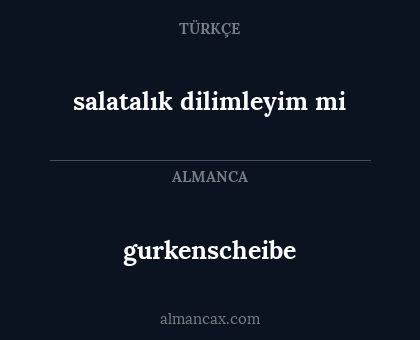 gurkenscheibe - salatalık dilimleyim mi