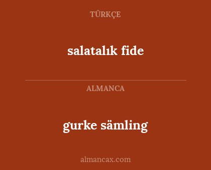 gurke sämling - salatalık fide