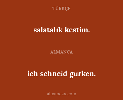 ich schneid gurken. - salatalık kestim.