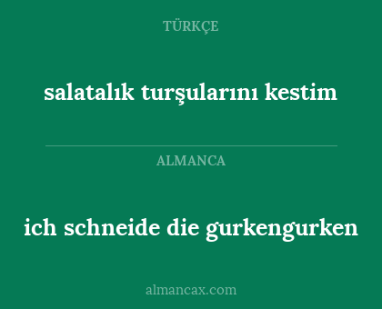 ich schneide die gurkengurken - salatalık turşularını kestim