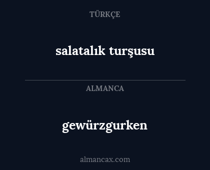 gewürzgurken - salatalık turşusu
