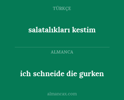 salatalıkları kestim - ich schneide die gurken