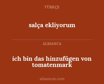 ich bin das hinzufügen von tomatenmark - salça ekliyorum