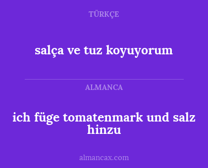 ich füge tomatenmark und salz hinzu - salça ve tuz koyuyorum