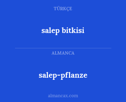 salep bitkisi - salep-pflanze
