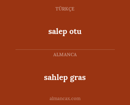 salep otu - sahlep gras