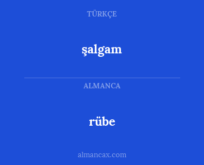 şalgam - rübe